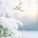 Zimske čarolije – kako se sve možete zabaviti ove zime